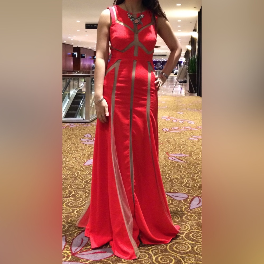 BCBGMAXAZRIA Imogen Gown (2013), Size 4